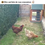 Le Chal Adret