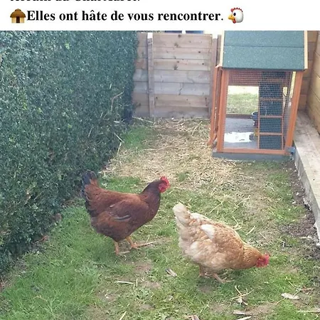 Le Chal Adret